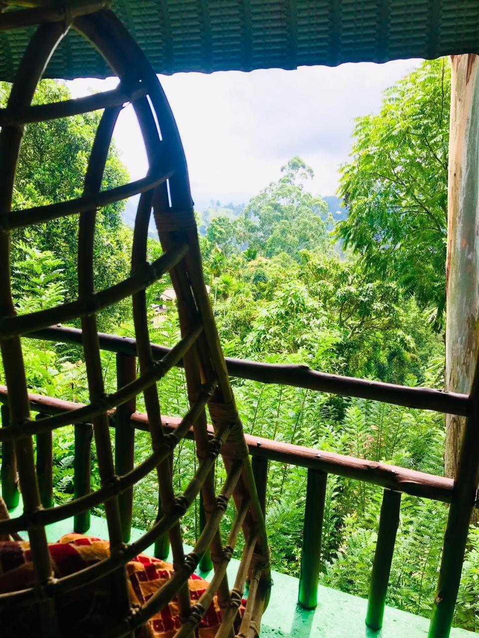 Nice View Guest House & Restaurant Ella Exterior foto